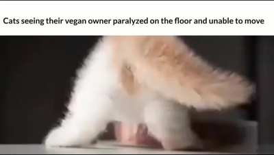 Tasty