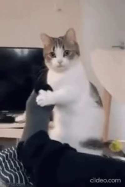 mom wake up i'm hungry :(
