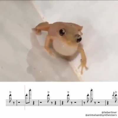 He Sing