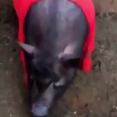 Erdoganchik