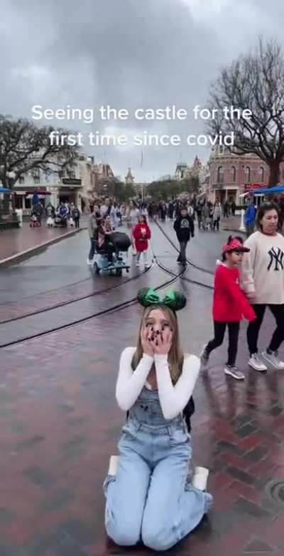 Disney adult