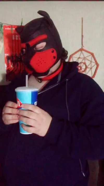 The real reason pup masks are more popular than fursuit masks, milkshake accessibility 🥤
