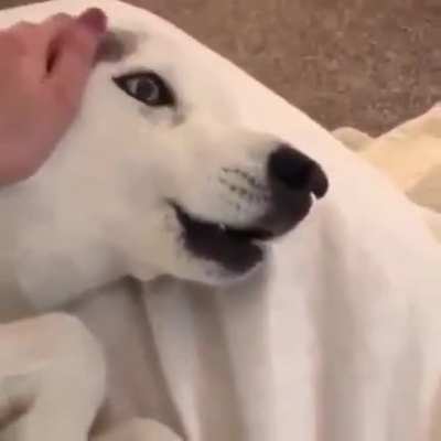 This Howl from Hell