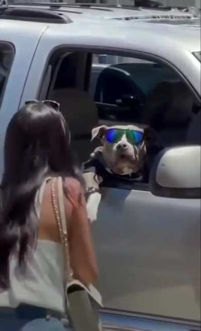woof_irl
