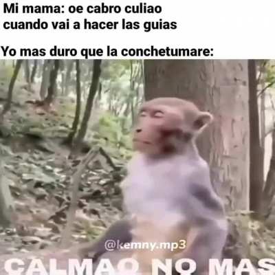 AAA soy nuevo en Reddit como se usa esta wea