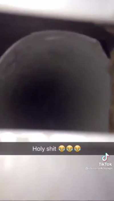 🐦