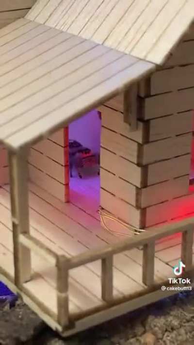 Spider unexpectedly finds his way into a rave