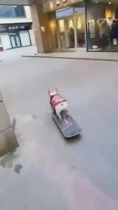 The way she dodges those corners