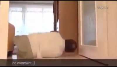 😎