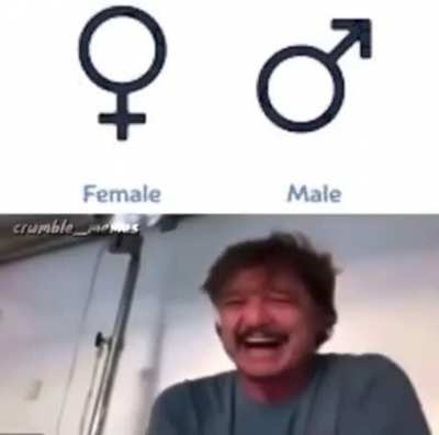 .hm