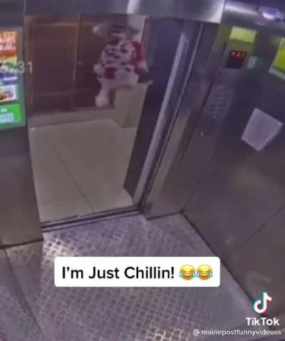 What da dog doing