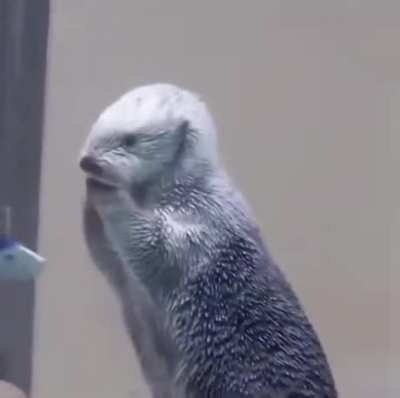 He’s like... am I ok?