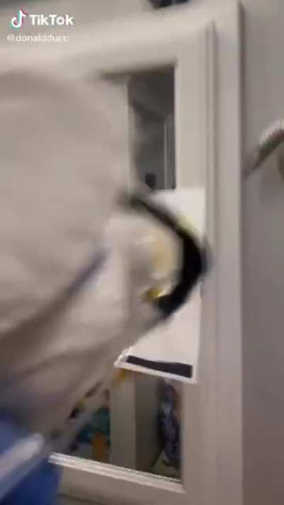 Extreme Jumpscare warning!