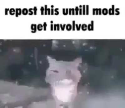 *cool title*