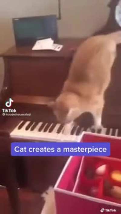 Not sure how I ended up here