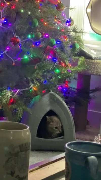 When you feel the Xmas spirit
