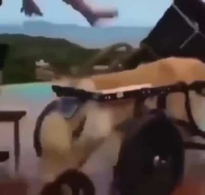 noooo