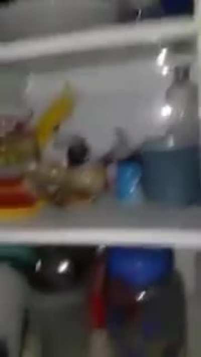 E aí Ratatui