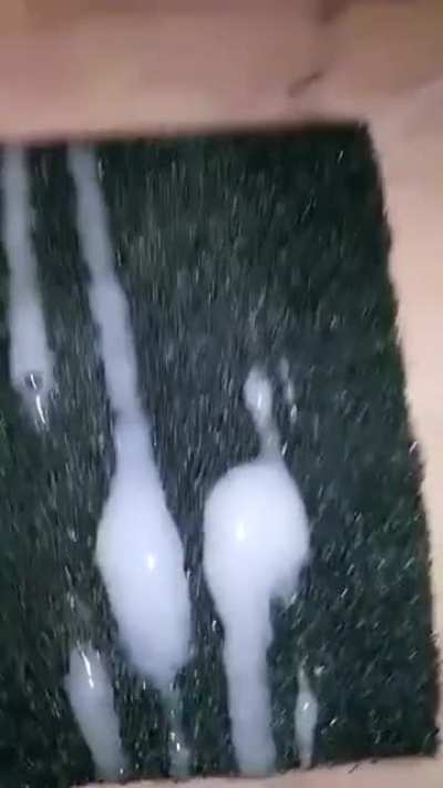 Você lavou a louça hoje?