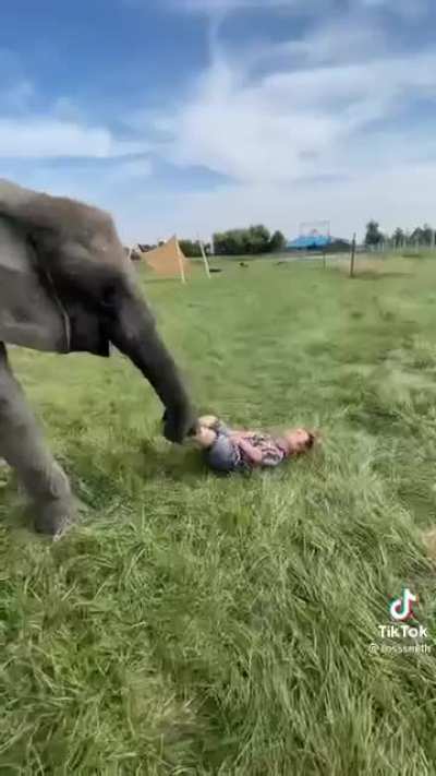 Can we address the elephant in the room?