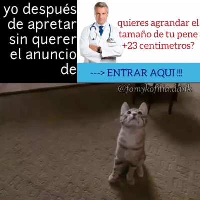 Yo después