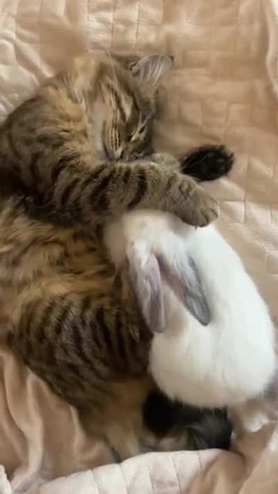 I guess he doesn't want to wake up