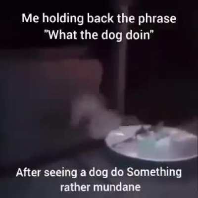 funny meme