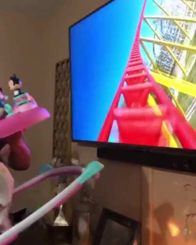 When you are not old enough to get on a roller coaster.