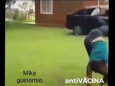 polinômio.