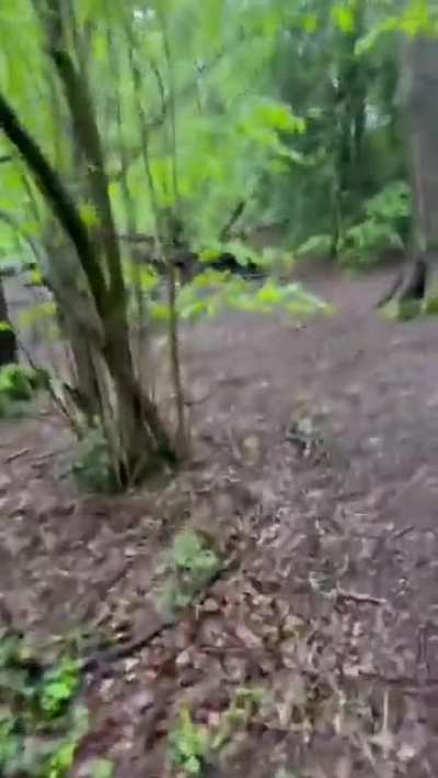 the search for Jack...