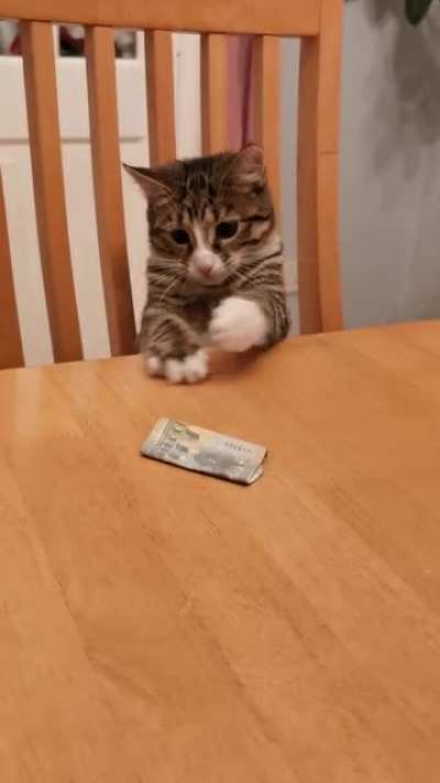 Money money money
