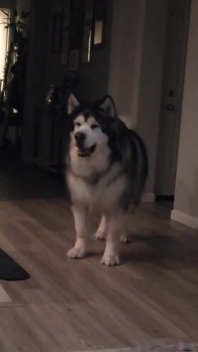 Big Boy Tap Dance