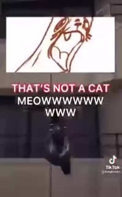 me_irl