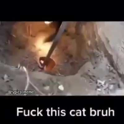 He's done for