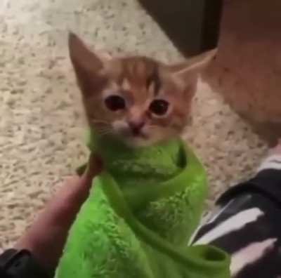WAA-