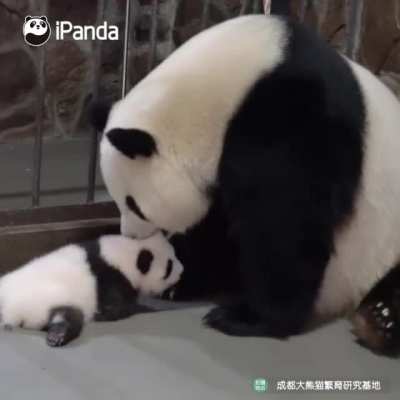 From day one to little balls of annoying - Moms are the best!