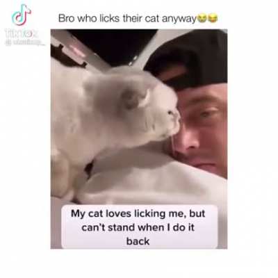 Lick the kitty