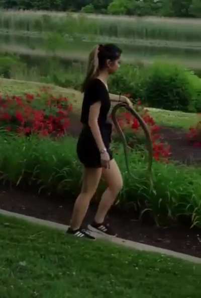 Try to get the snake to go away