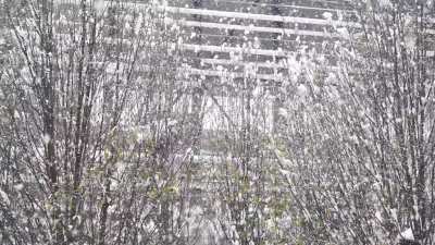 behind my window now - snow clip
