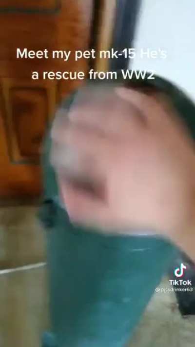 Bomba