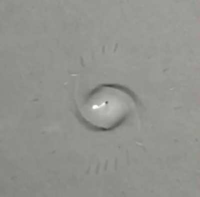 A drop of dichloromethane on water spiraling out of existence as it evaporates