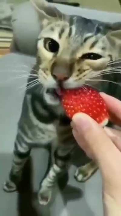 Strawberry 