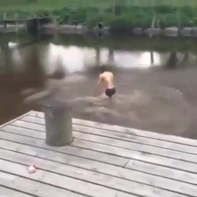 Lucky can walk