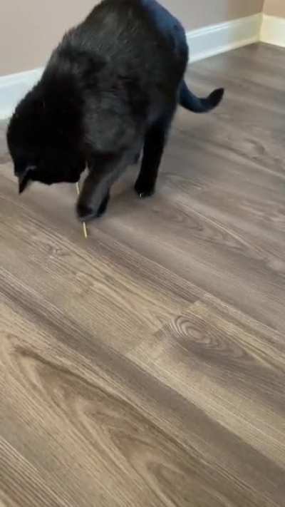 Dozens of toys scattered around the house and what does he choose? Dry pasta…