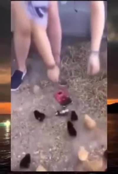 Mataro un inocente