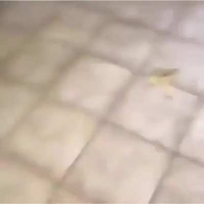 Banana peel dangerous
