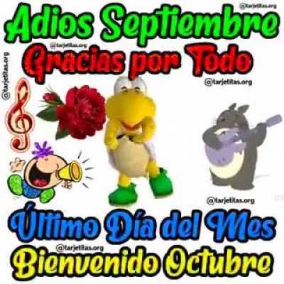Si