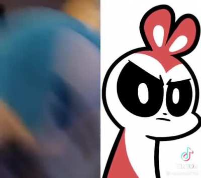 Can’t believe he did that