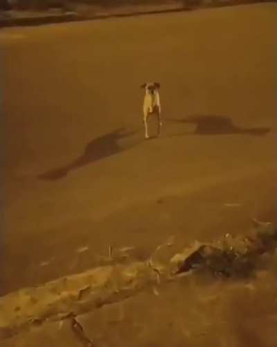 Que onda é es...