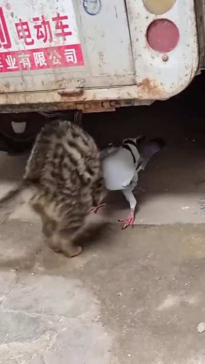 Tough fight!